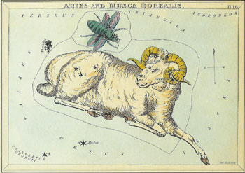 Aries