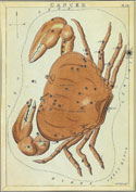 Cancer birth sign